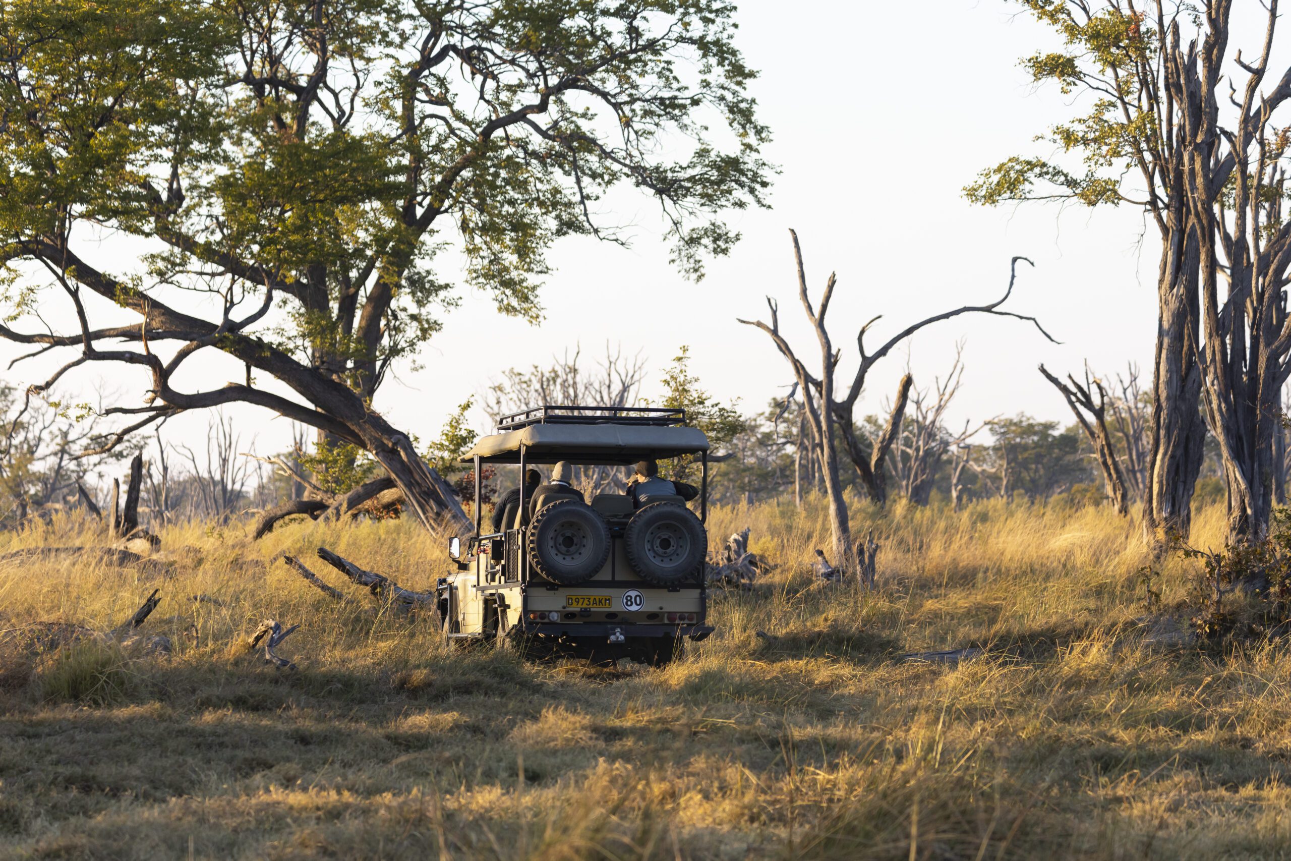 Okavango Delta Botswana safari vehicle on a sunrise game drive - Travheir Okavango Delta Botswana safari vehicle on a sunrise game drive