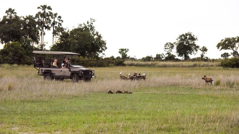 Wild for Game Safaris Pictures_0000s_0007_DSC_8195-2 - Travheir